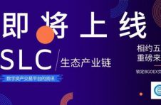 SLC盐湖矿场生态产业链行业区块链产业联盟资讯